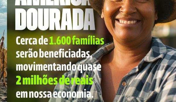 Imagens da Atenção, agricultores de América Dourada!