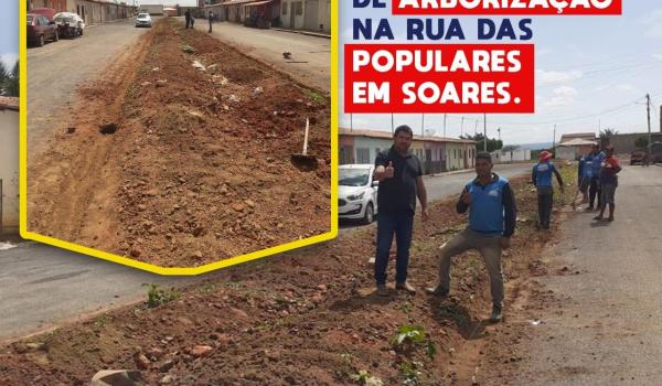 Arborização das ruas e praças de todo o Município.