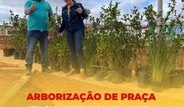 ARBORIZAÇÃO DE PRAÇA