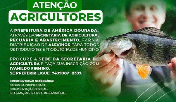 Atenção Agricultores! A Prefeitura fará a distribuição de alevinos para todos os produtores e produtoras de Município. Atenção Agricultores! A Prefeitura fará a distribuição de alevinos para...